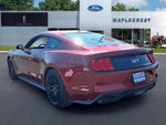 2019 Mustang Thumbnail 3