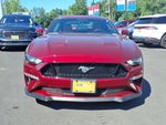 2019 Mustang Thumbnail 5