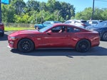 2019 Mustang Thumbnail 6