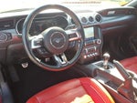2019 Mustang Thumbnail 10