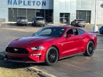 2019 Mustang Thumbnail 1