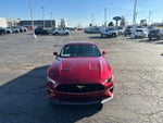 2019 Mustang Thumbnail 3