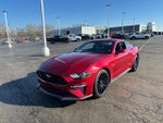 2019 Mustang Thumbnail 4