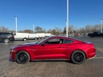 2019 Mustang Thumbnail 5