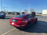 2019 Mustang Thumbnail 8