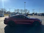 2019 Mustang Thumbnail 9