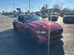 2019 Mustang Thumbnail 10