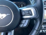 2019 Mustang Thumbnail 20
