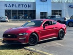 2019 Mustang Thumbnail 2