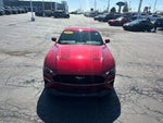 2019 Mustang Thumbnail 3