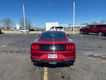 2019 Mustang Thumbnail 7