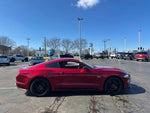 2019 Mustang Thumbnail 9