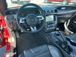 2019 Mustang Thumbnail 15