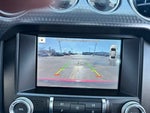 2019 Mustang Thumbnail 17