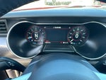 2019 Mustang Thumbnail 18