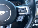 2019 Mustang Thumbnail 20