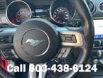 2019 Mustang Thumbnail 17