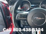 2019 Mustang Thumbnail 18