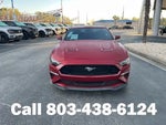 2019 Mustang Thumbnail 34