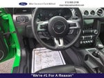 2019 Mustang Thumbnail 11