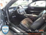2020 Mustang Thumbnail 14