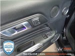 2020 Mustang Thumbnail 18