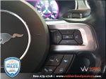 2020 Mustang Thumbnail 21