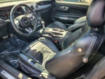 2020 Mustang Thumbnail 10
