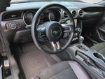 2020 Mustang Thumbnail 10