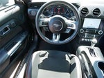 2022 Mustang Thumbnail 13
