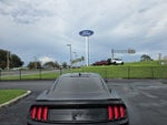 2023 Mustang Thumbnail 5