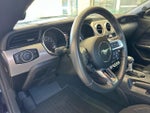 2023 Mustang Thumbnail 19