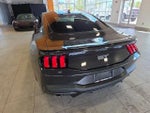 2024 Mustang Thumbnail 10