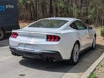 2025 Mustang Thumbnail 3