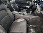 2025 Mustang Thumbnail 18
