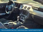 2015 Mustang Thumbnail 14
