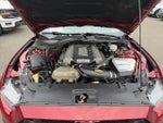 2016 Mustang Thumbnail 26
