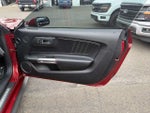 2016 Mustang Thumbnail 12