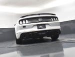 2017 Mustang Thumbnail 21