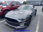 2019 Mustang Thumbnail 1