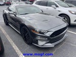 2019 Mustang Thumbnail 4