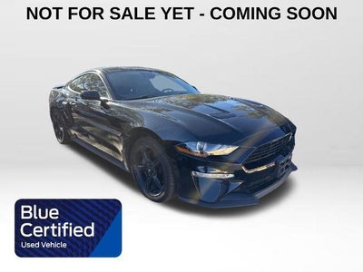 Photo of a 2019 Ford Mustang GT 2DR Fastback for sale