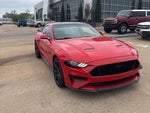 2019 Mustang Thumbnail 1