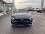 2019 Mustang Thumbnail 3