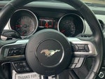 2019 Mustang Thumbnail 11