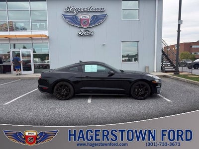 2020 Ford Mustang GT Premium 2DR Fastback