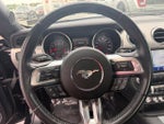 2020 Mustang Thumbnail 13