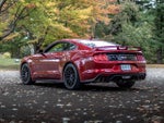 2021 Mustang Thumbnail 3