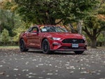 2021 Mustang Thumbnail 7