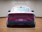 2024 Mustang Thumbnail 6